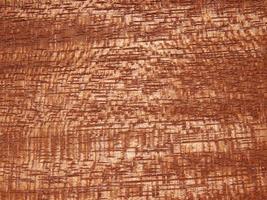 Tree structure background photo