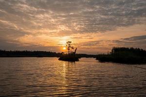 Beautiful morning at the Kemeru Tirelis Swamp in Latvia. photo
