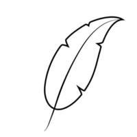 outline bird feather vector