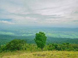 vista de un árbol y cielo nuboso en la montaña khao luang en el parque nacional ramkhamhaeng, provincia de sukhothai, tailandia foto