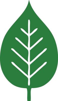 flat color retro cartoon green leaf