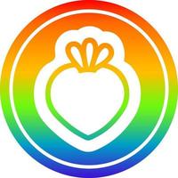 fruta fresca circular en el espectro del arco iris vector
