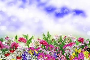 floral background. Flowers, Nature. photo