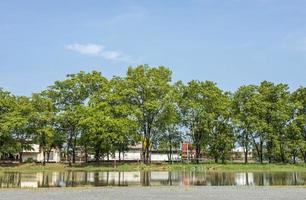 A low angle view, reflections of water, rows of trees on slate stone ground near buildings. photo