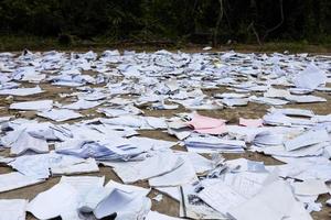 Scraps of old square paper from various notebooks are scattered on the concrete floor near the bushes to dry. photo