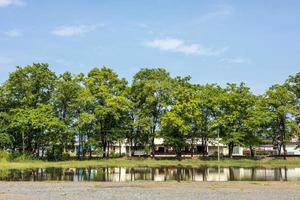 A low angle view, reflections of water, rows of trees on slate stone ground near buildings. photo