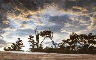 Landscape texture background water reflection of sky clouds and tree silhouette during daytime. photo