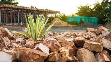 A low angle view of an ornamental plant is placed amid the heaps of large brown granite boulders. photo