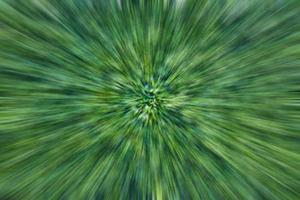 The abstract background radial blurs a cluster of many brilliant green leaves. photo