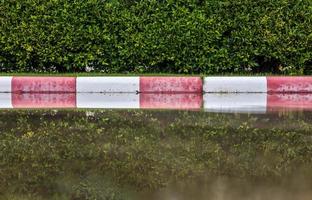 Low view against a background of green leafed bush wall reflecting water against old red and white concrete blocks. photo