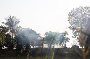 A view of the vast clouds of smoke as the straw burning in the rice fields drifts over the trees. photo