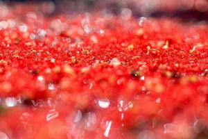 Abstract blurred bokeh texture background shreds of tiny, beautiful red flower pollen. photo