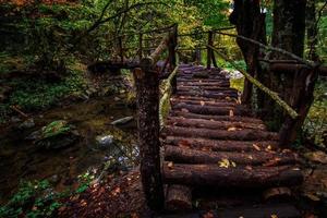 Beautiful wooden handmade bridge in the mystical forest photo