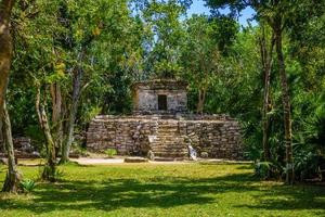 Mayan ruins in shadow of trees in jungle tropical forest Playa del Carmen, Riviera Maya, Yu atan, Mexico photo