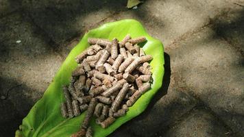 Wood pellets piled on slightly dry leaves photo