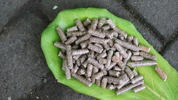 pellets de madera apilados sobre hojas ligeramente secas foto