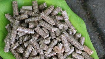 Wood pellets piled on slightly dry leaves photo