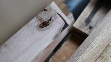 square pile of wood ready to be assembled photo