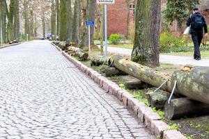 Roadway boundary wood photo