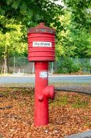 hidrante rojo en el parque foto