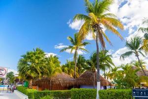 Bungalows in the shadow of cocos palms on the beach, Isla Mujeres island, Caribbean Sea, Cancun, Yucatan, Mexico photo