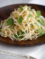 Asian Barbecue Bean sprout photo