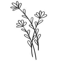 Doodle branch, cute and unusual leaves, can be used to decorate postcards, business cards or as a design element vector