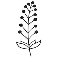 Doodle branch, cute and unusual leaves, can be used to decorate postcards, business cards or as a design element vector
