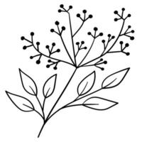 Doodle branch, cute and unusual leaves, can be used to decorate postcards, business cards or as a design element vector