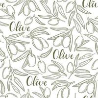 Simple olive pattern with twigs and berries vector