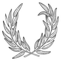 corona de olivo dibujada a mano, marco vector