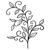 Doodle branch, cute and unusual leaves, can be used to decorate postcards, business cards or as a design element vector