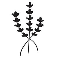 Doodle branch, cute and unusual leaves, can be used to decorate postcards, business cards or as a design element vector