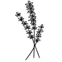 Doodle branch, cute and unusual leaves, can be used to decorate postcards, business cards or as a design element vector