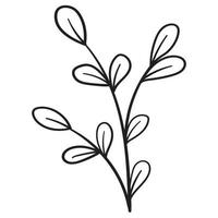 Doodle branch, cute and unusual leaves, can be used to decorate postcards, business cards or as a design element vector