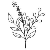 Doodle branch, cute and unusual leaves, can be used to decorate postcards, business cards or as a design element vector