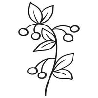 Doodle branch, cute and unusual leaves, can be used to decorate postcards, business cards or as a design element vector