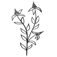 Doodle branch, cute and unusual leaves, can be used to decorate postcards, business cards or as a design element vector