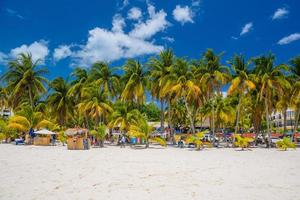 cocos beach bar en una playa con arena blanca y palmeras en un día soleado, isla mujeres, mar caribe, cancún, yucatán, méxico foto