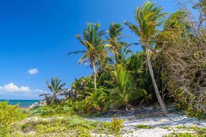 playa de arena blanca con palmeras, templo del dios descendiente, ruinas mayas en tulum, riviera maya, yucatán, mar caribe, méxico foto