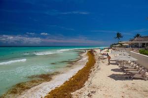 playa de arena con algas en un día soleado con hoteles en playa del carmen, méxico foto