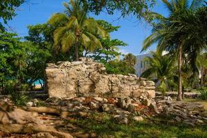 Playacar Mayan ruins in the forest park in Playa del Carmen, Yucatan, Mexico photo