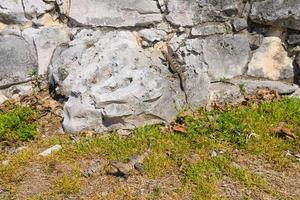 2 lagartos iguanas grises sentados en las piedras de las ruinas mayas en tulum, riviera maya, yucatán, mar caribe, méxico foto