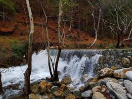 Mountain river stream waterfall green forest Landscape nature plant tree rainforest jungle photo