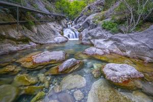 Mountain river stream waterfall green forest Landscape nature plant tree rainforest jungle photo