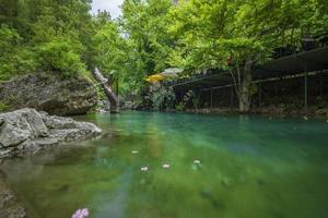 montaña río corriente cascada verde bosque paisaje naturaleza planta árbol selva selva foto