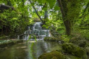 Mountain river stream waterfall green forest Landscape nature plant tree rainforest jungle photo