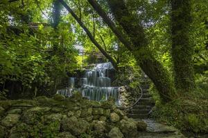 Mountain river stream waterfall green forest Landscape nature plant tree rainforest jungle photo