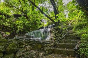 montaña río corriente cascada verde bosque paisaje naturaleza planta árbol selva selva foto