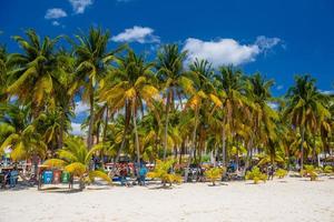 White sand beach with cocos palms, Isla Mujeres island, Caribbean Sea, Cancun, Yucatan, Mexico photo